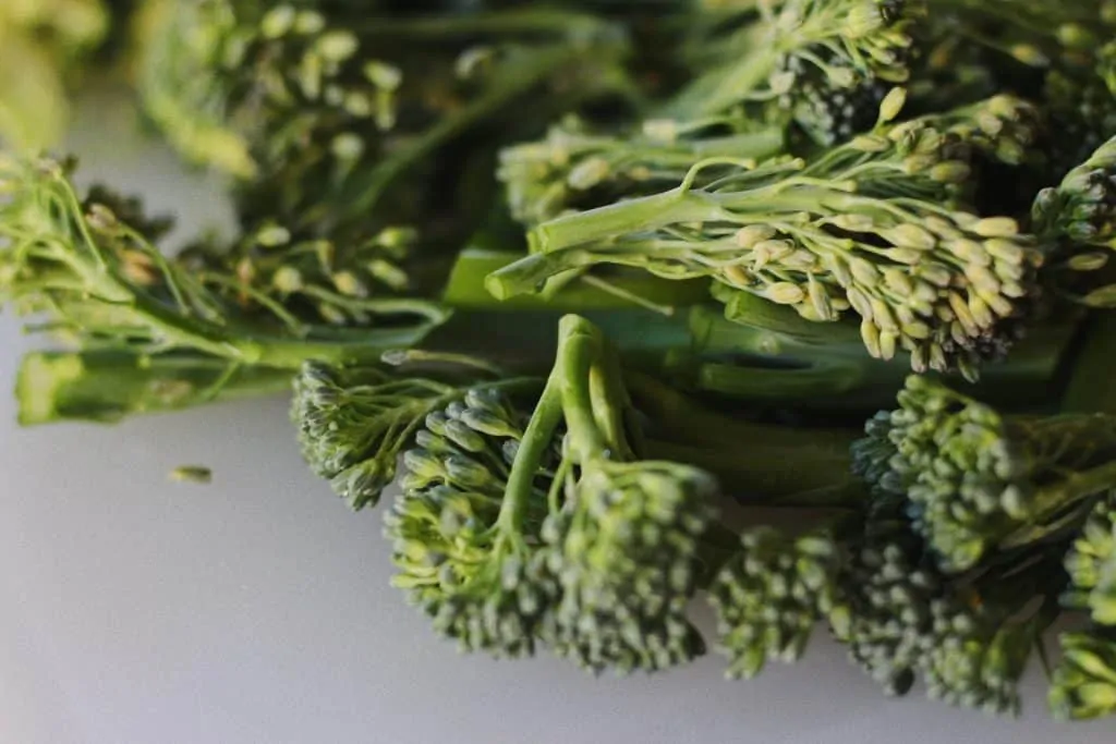 shot of broccolini for roasted winter salad