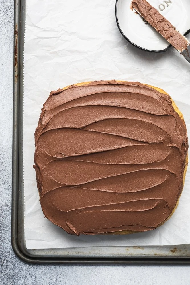 shot of keto chocolate frosting swirls on cake