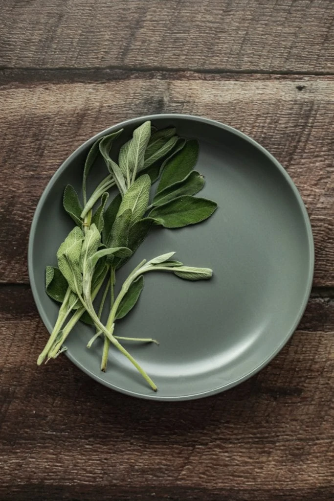 sage leaves on a gray plate