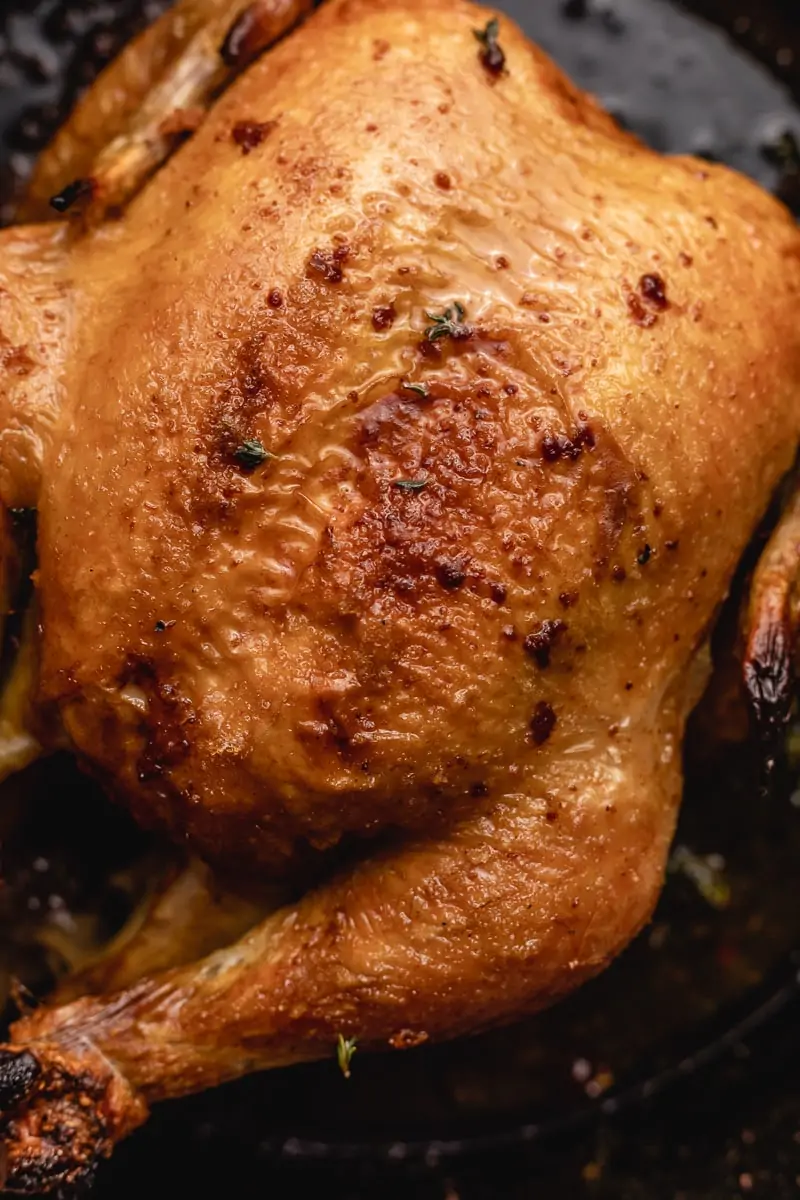 closeup of the whole roasted chicken breast