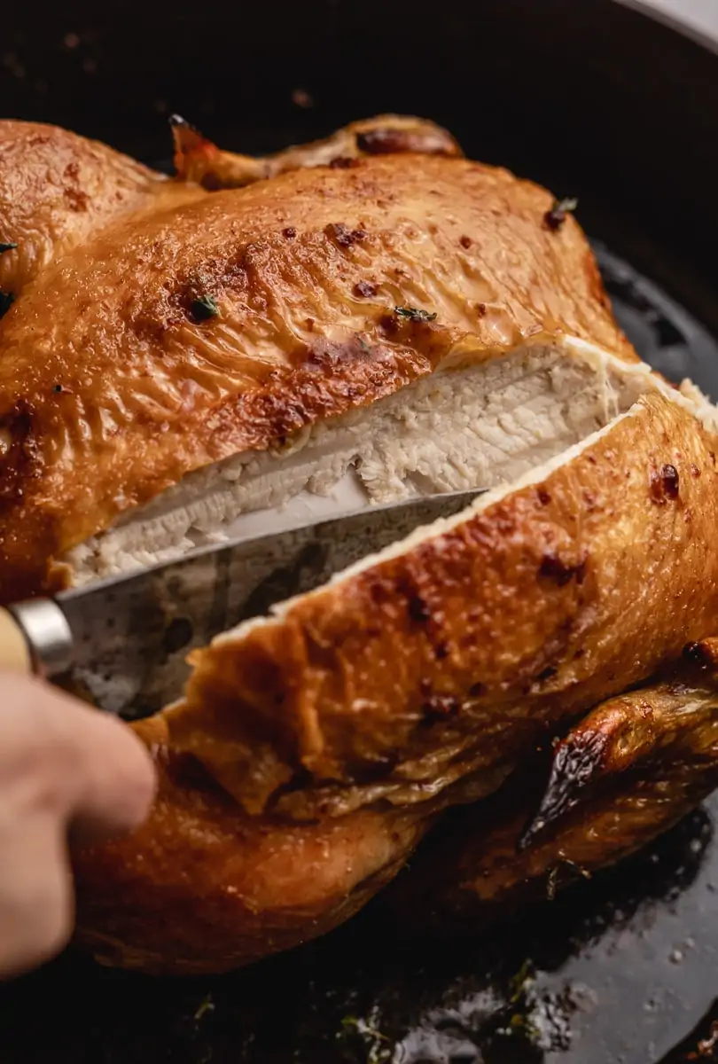 closeup of simple whole roasted chicken being cut