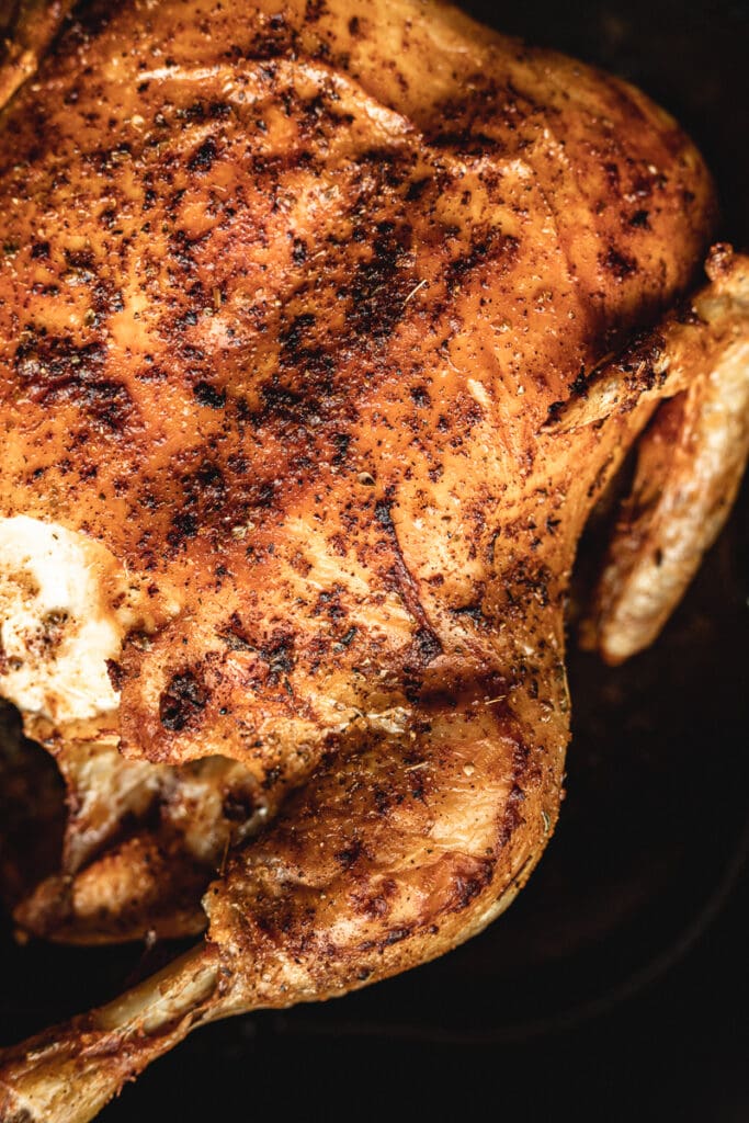 closeup of chicken skin with seasonings