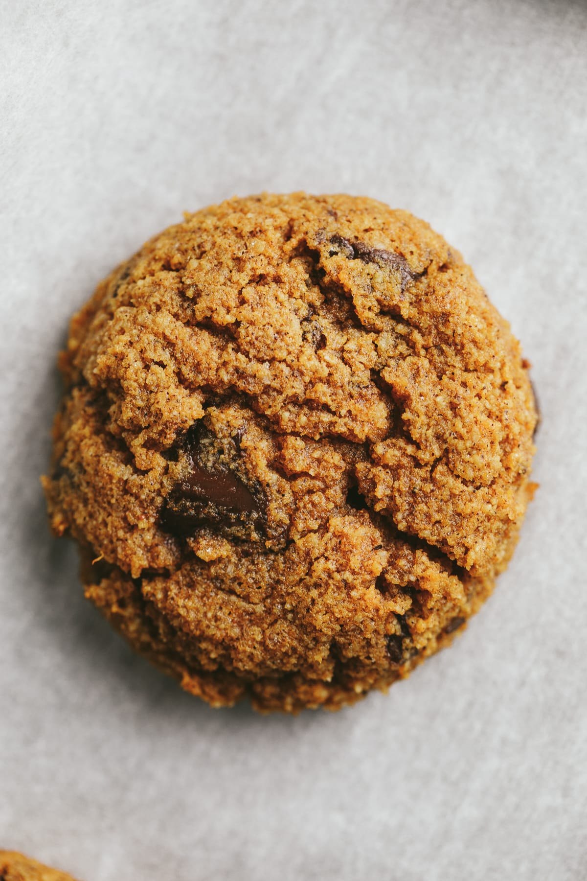 Closeup of one keto pumpkin chocolate chip cookie.