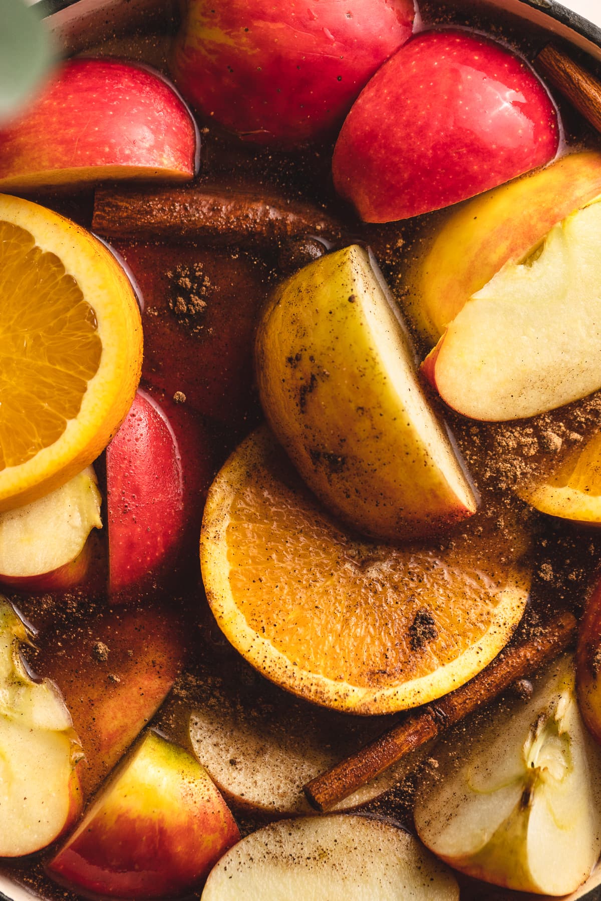 HOMEMADE SUGAR FREE APPLE CIDER visual data 3