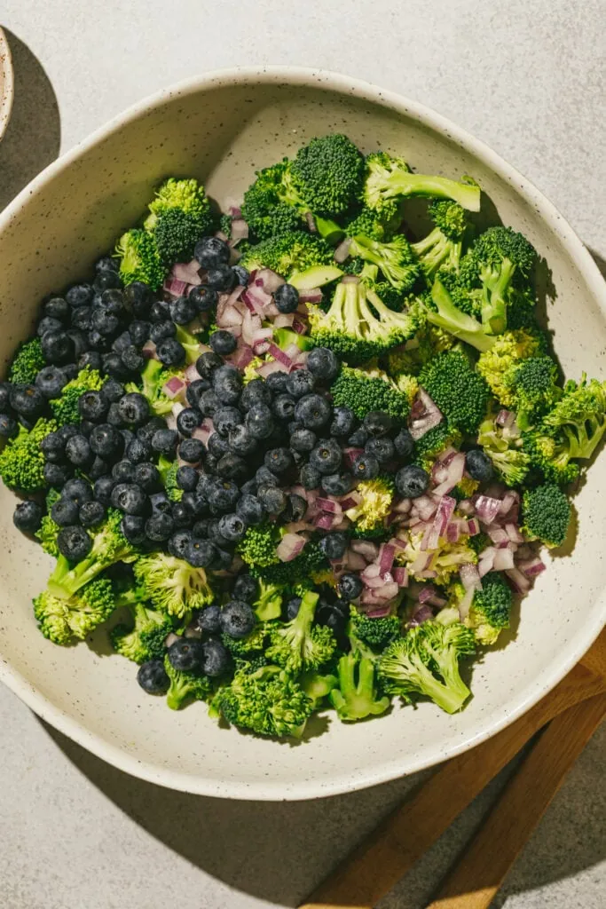Blueberries, onions and broccoli in a large bowl for keto broccoli salad recipe.