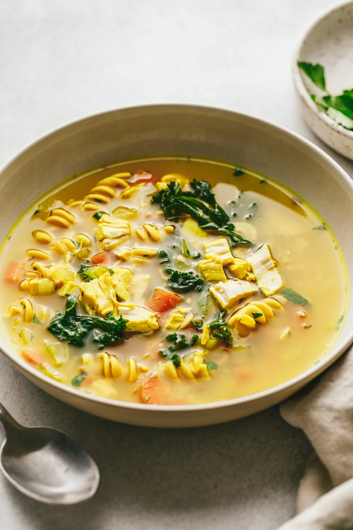 Low carb chicken noodle soup with a spoon.