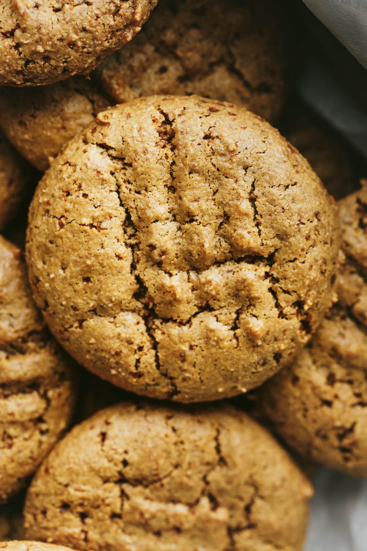 Closeup of keto peanut butter cookie.