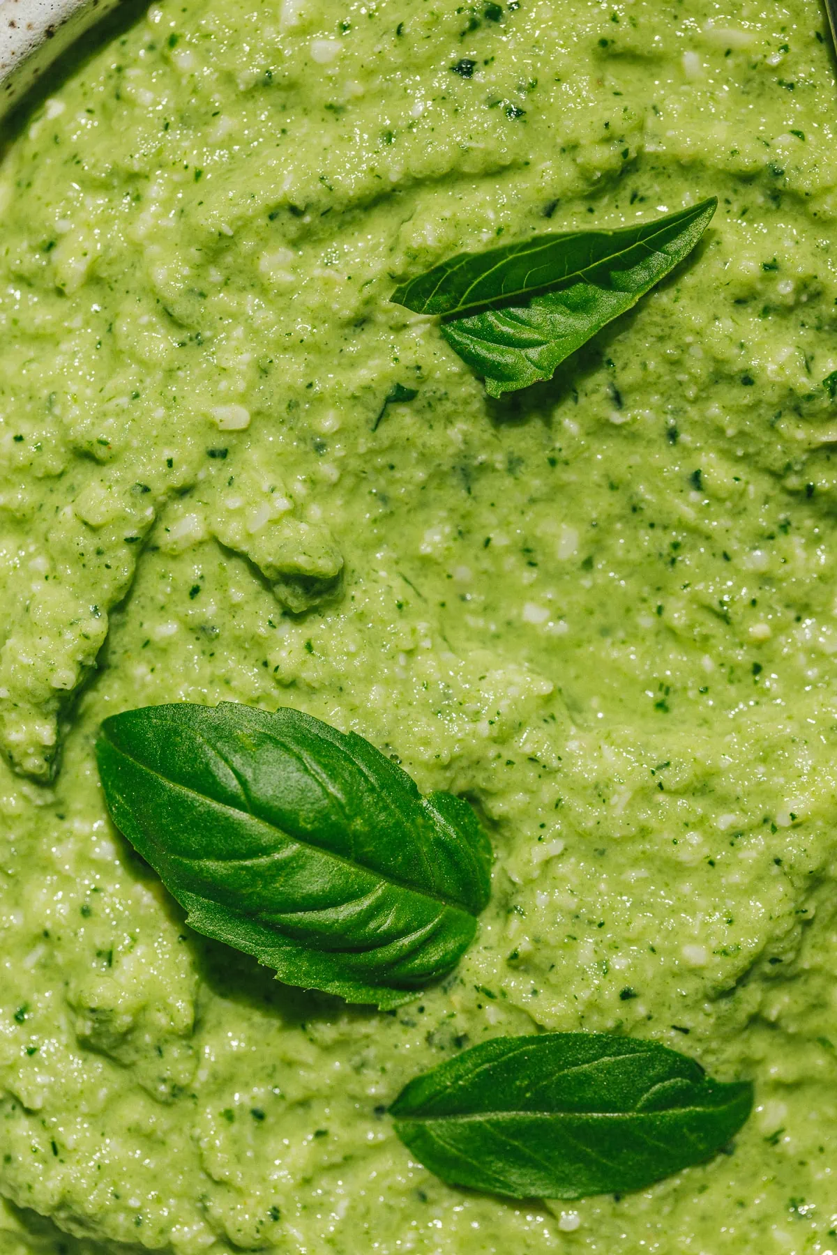 closeup of zucchini pesto with basil leaves on top.
