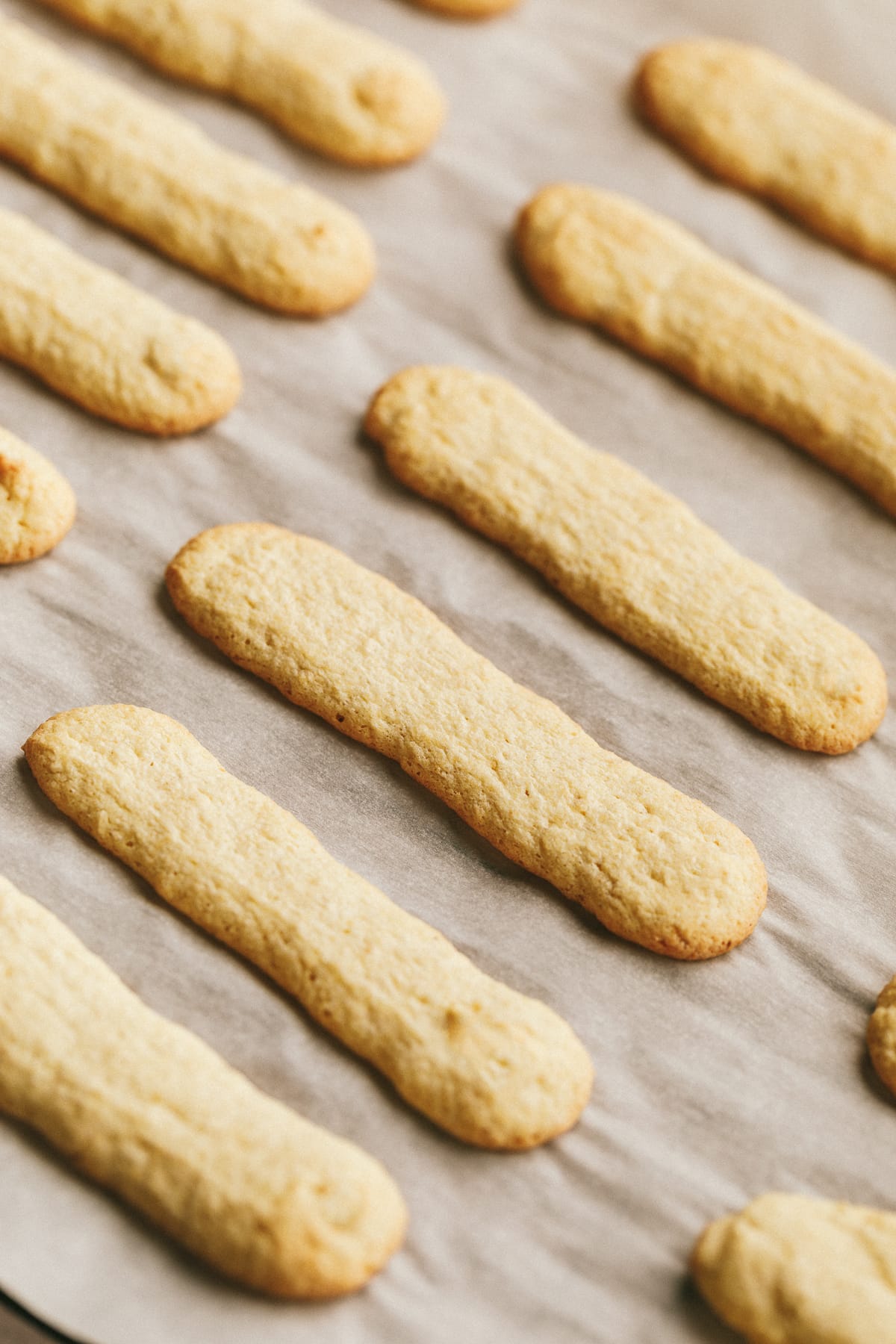 Rows of keto ladyfingers on a baking sheet lined with parchment paper.