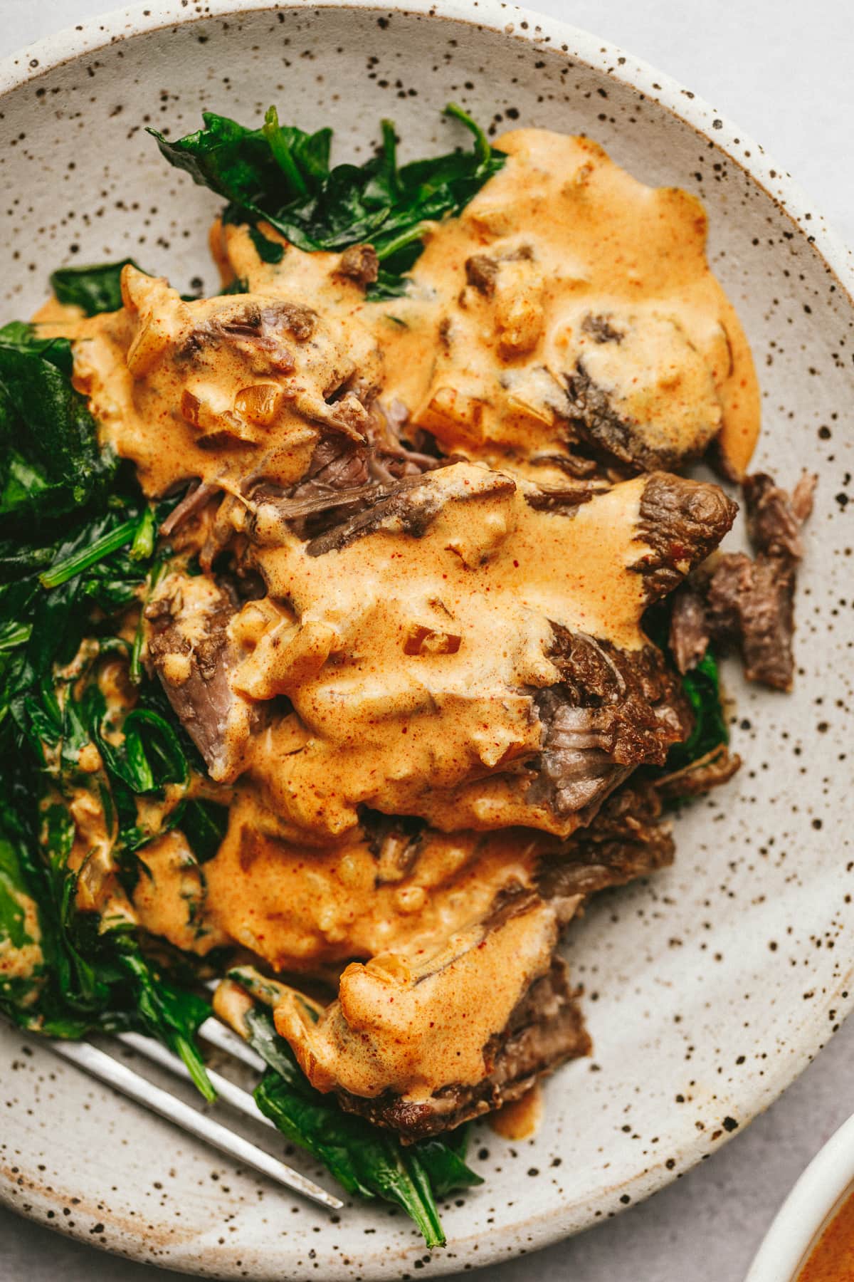 Closeup of creamy paprika sauce on top of shredded beef.