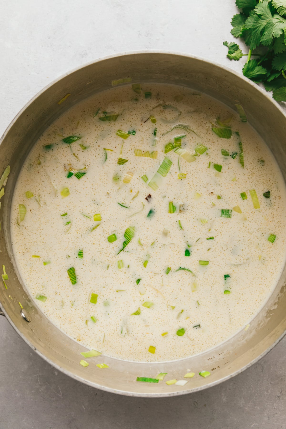 Leeks and coconut milk in a pan.
