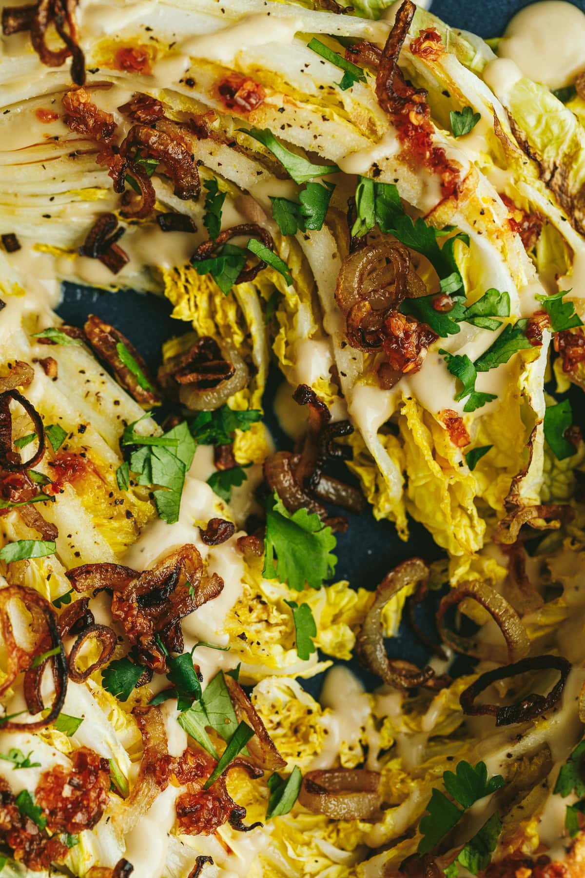 Closeup of roasted napa cabbage with toppings.