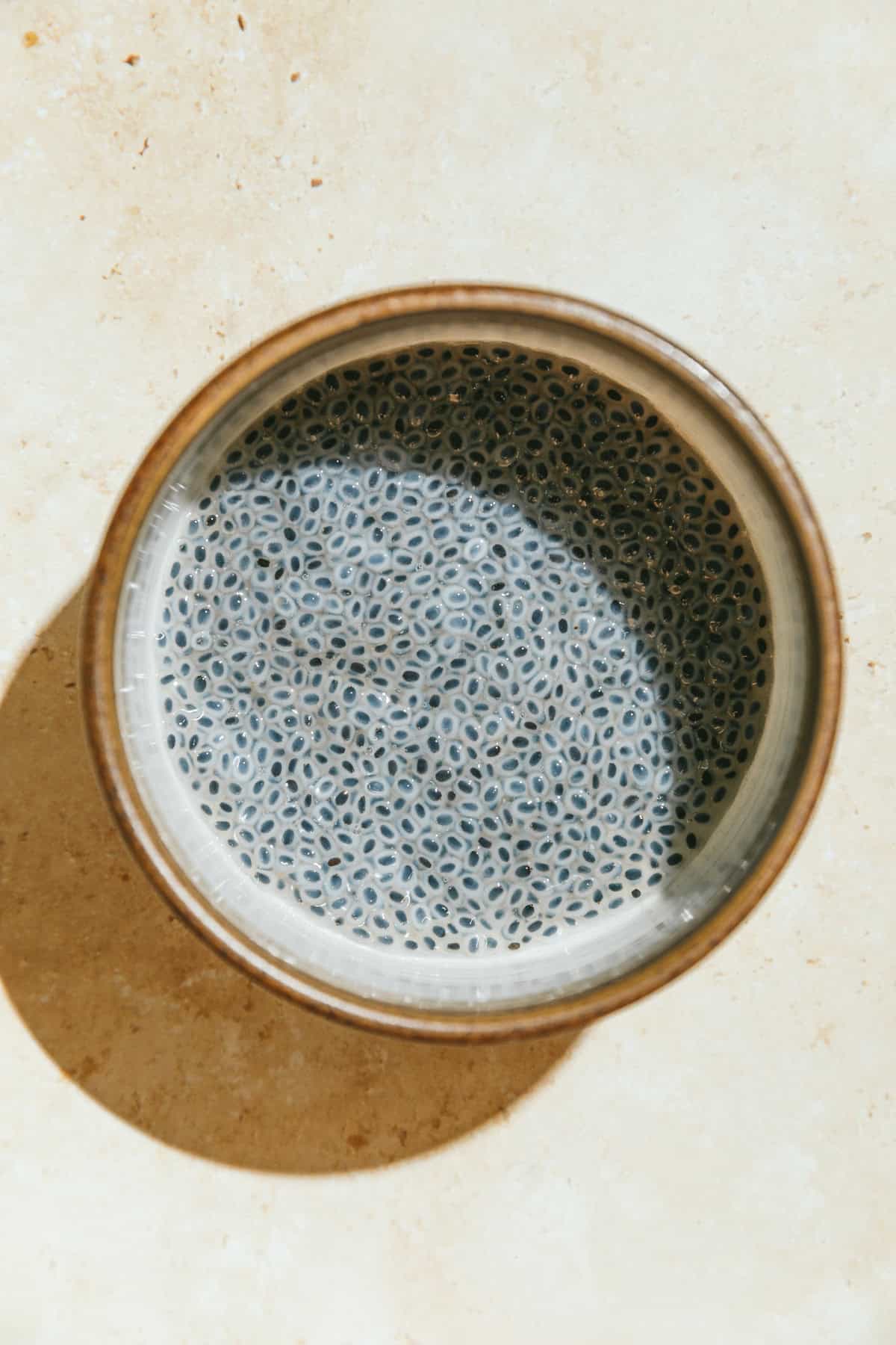 Closeup of basil seeds soaking in water in a small dish.