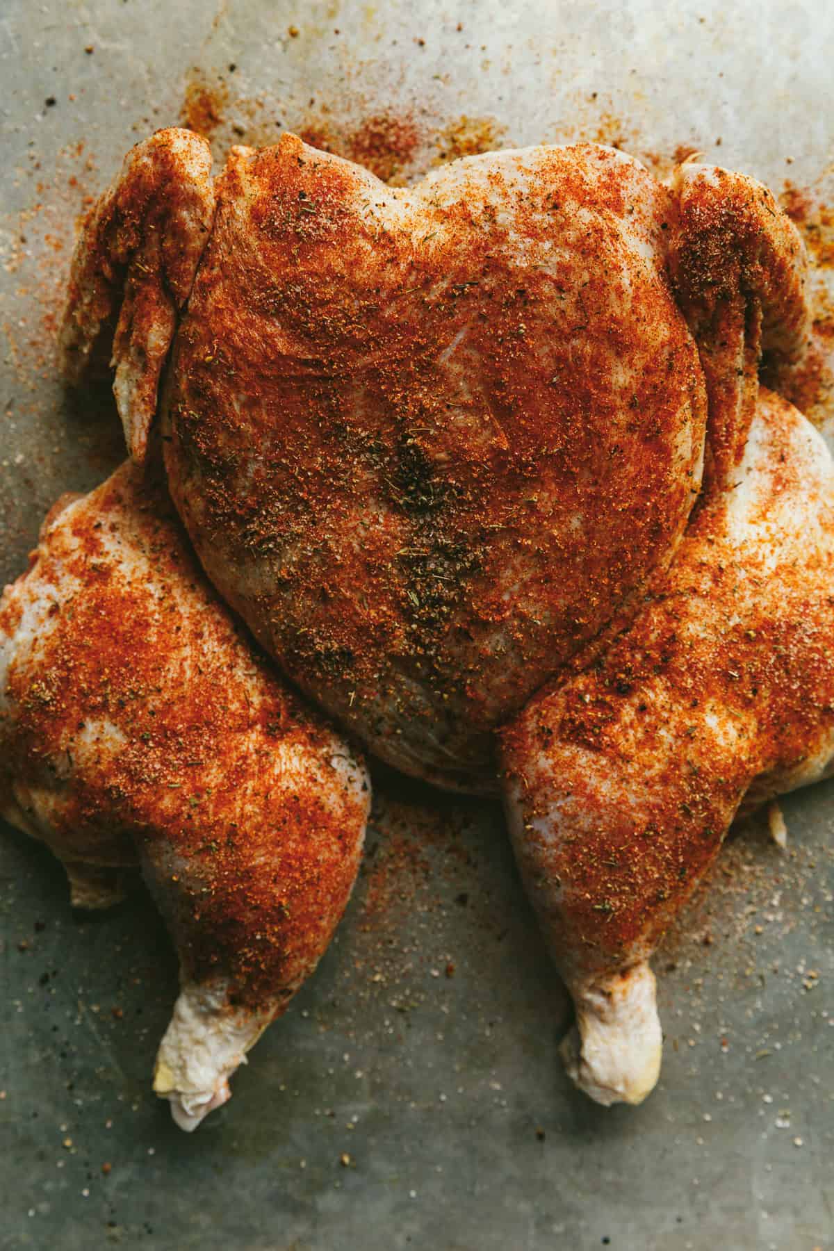 Spatchcock seasoned chicken on a sheet pan ready for the oven.