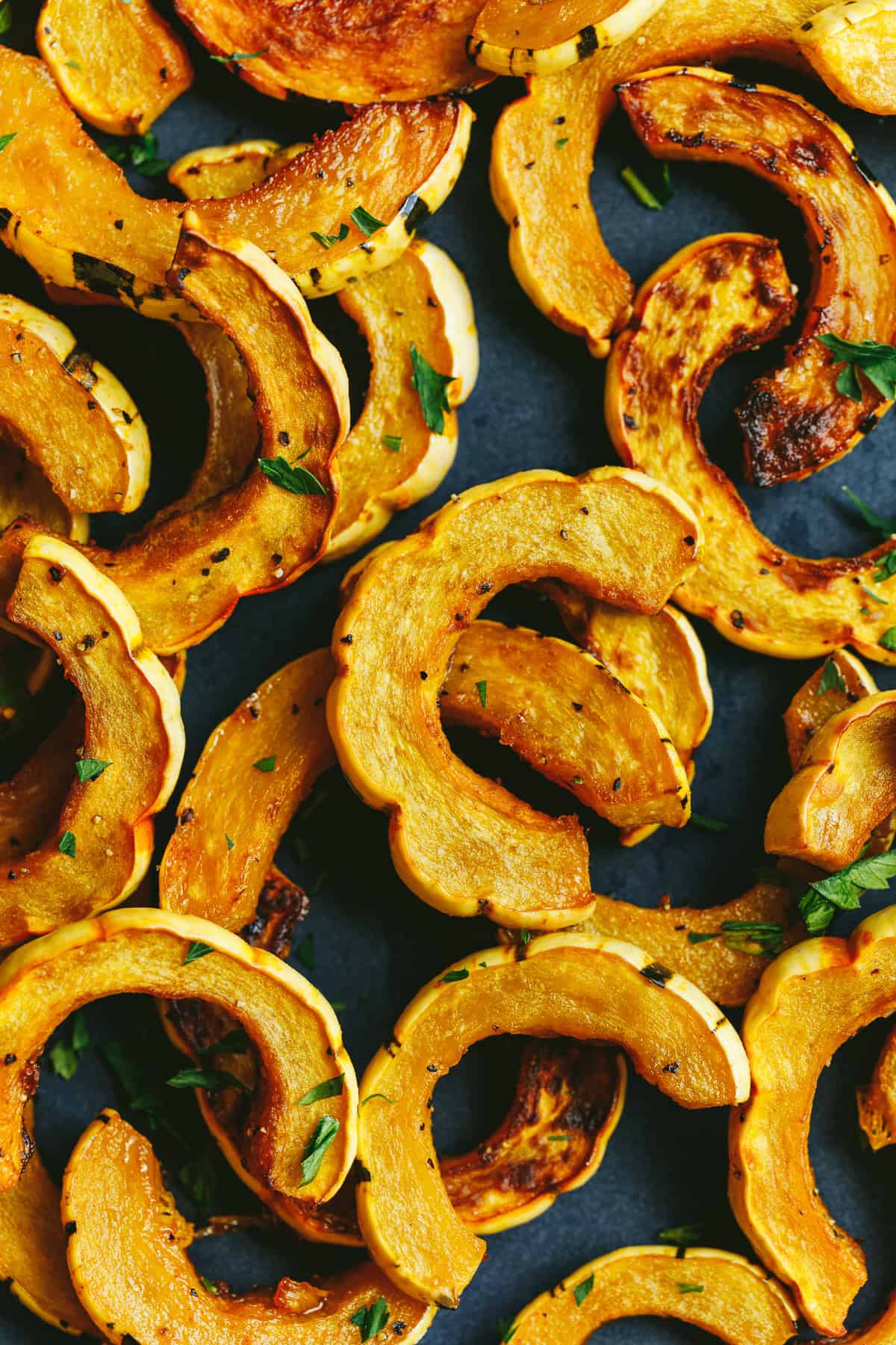 Closeup of roasted delicata squash cut in half-moons.